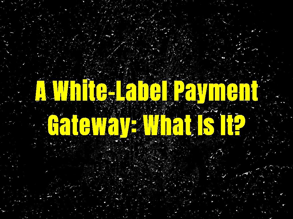 A White-Label Payment Gateway: What Is It?